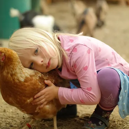 Harzer Feriengarten 4 Sterne 5* Bad Suderode