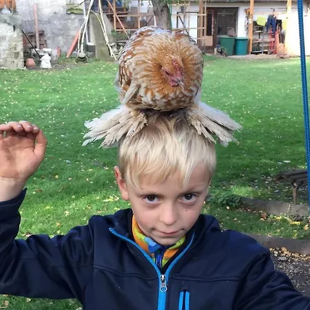 Harzer Feriengarten 4 Sterne