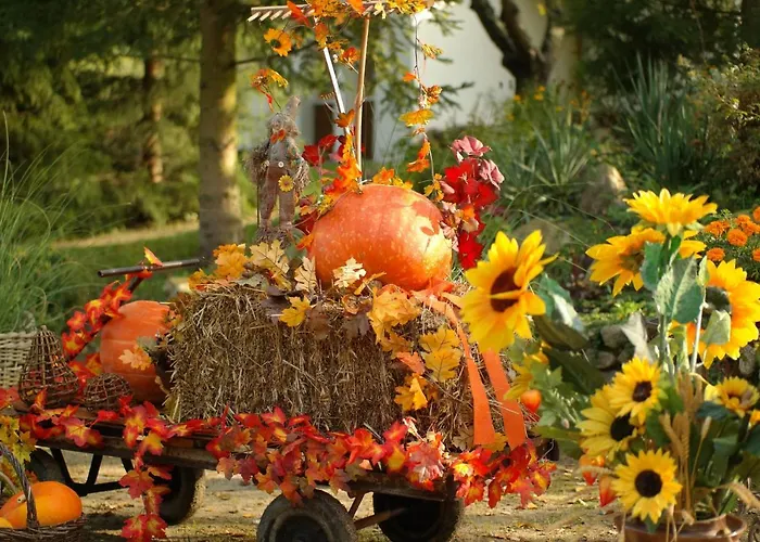 Harzer Feriengarten 4 Sterne