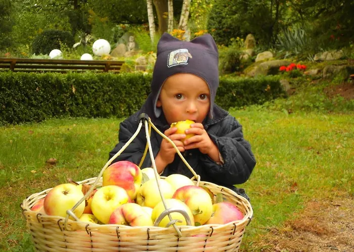 Harzer Feriengarten 4 Sterne 假日公园 5*