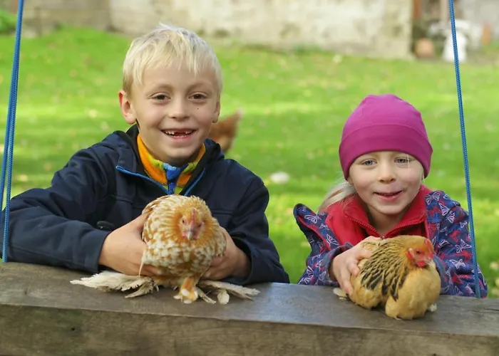 Harzer Feriengarten 4 Sterne 假日公园 5*