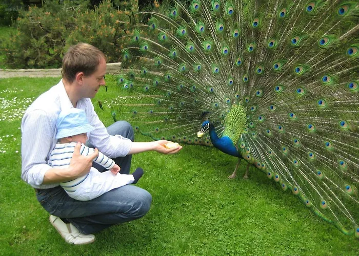 Harzer Feriengarten 4 Sterne 假日公园