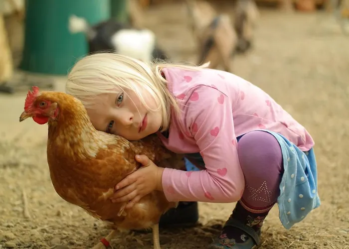 Harzer Feriengarten 4 Sterne 5* 巴特苏德罗德