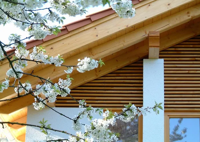 Harzer Feriengarten 4 Sterne 巴特苏德罗德