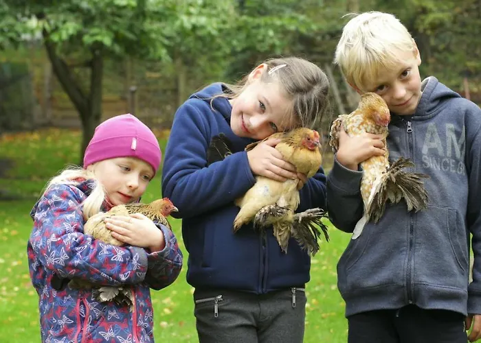 Harzer Feriengarten 4 Sterne