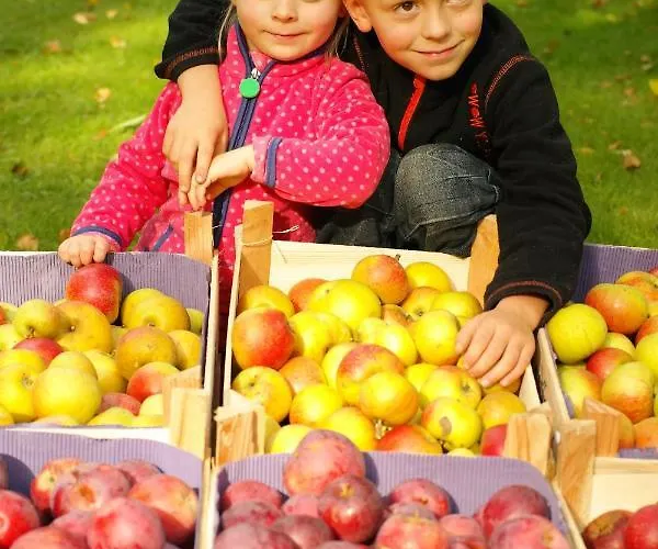 假日公园 Harzer Feriengarten 4 Sterne