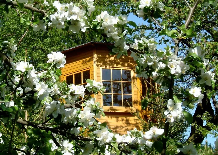 Harzer Feriengarten 4 Sterne 5* 巴特苏德罗德