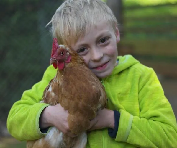 假日公园 Harzer Feriengarten 4 Sterne