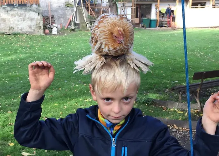 Harzer Feriengarten 4 Sterne